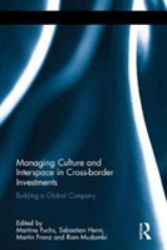 Managing Culture and Interspace in Cross-Border Investments