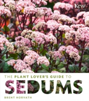The Plant Lover&#039;s Guide to Sedums