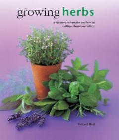 Coperta cărții Growing Herbs