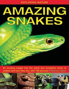 Coperta cărții Exploring Nature: Amazing Snakes
