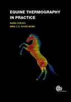 Equine Thermography in Practic