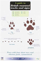 A Guide to British Mammal Tracks and Signs