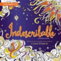 Indescribable Adult Coloring Book