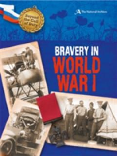 Beyond the Call of Duty: Bravery in World War I (The National Archives ...