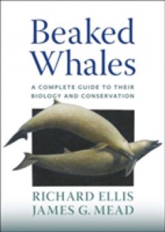 Beaked Whales