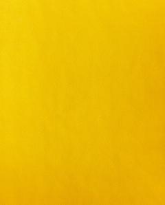 Carnet - Shiny Starlet S - Yellow
