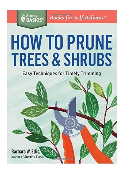 How to Prune Trees and Shrubs - Barbara Ellis