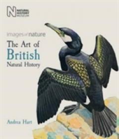 The Art of British Natural History