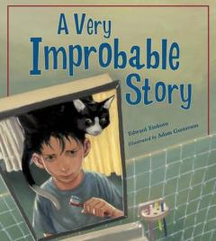 Coperta cărții A Very Improbable Story, A
