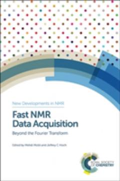 Fast NMR Data Acquisition