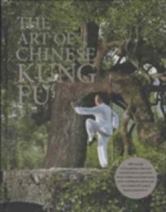 Art of Chinese Kung Fu