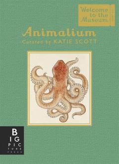 Animalium