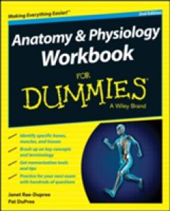 Anatomy & Physiology Workbook for Dummies, 2nd Edition