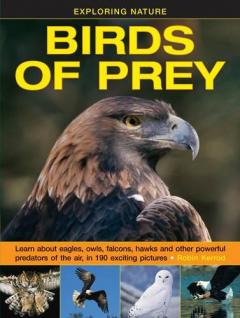 Coperta cărții Exploring Nature: Birds of Prey