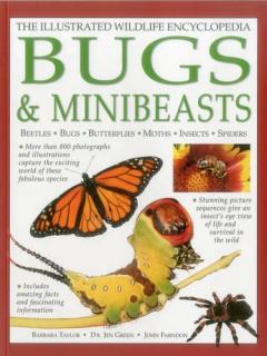 Coperta cărții Illustrated Wildlife Encyclopedia: Bugs & Minibeasts