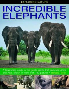 Coperta cărții Exploring Nature: Incredible Elephants