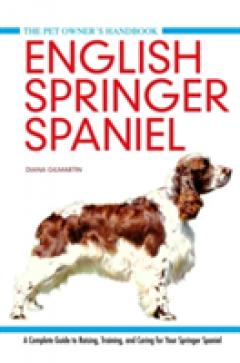 English Springer Spaniel