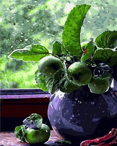 Set pictura pe numere - Olives