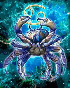 Set pictura pe numere - Zodia Rac