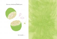 All the Colours I See