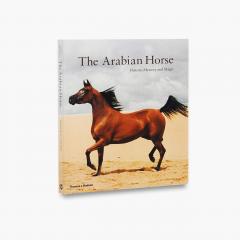 Arabian Horse: Mystery, History and Magic