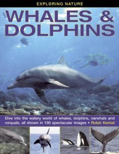 Coperta cărții Exploring Nature: Whales & Dolphins