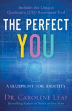 The Perfect You