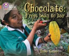 Coperta cărții Chocolate: from Bean to Bar