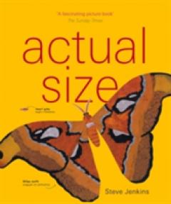 actual size by steve jenkins