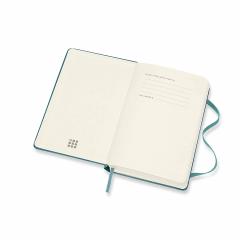 Agenda 2020 - Moleskine 12-Month Daily Notebook Planner - Magnetic Green, Pocket, Hard cover