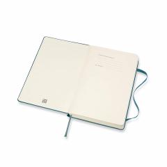 Agenda 2020 - Moleskine 12-Month Daily Notebook Planner - Magnetic Green, Large, Hard cover