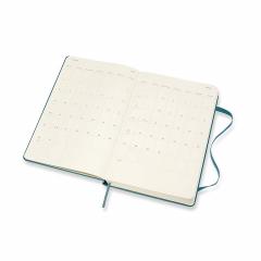 Agenda 2020 - Moleskine 12-Month Daily Notebook Planner - Magnetic Green, Large, Hard cover