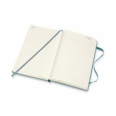 Agenda 2020 - Moleskine 12-Month Daily Notebook Planner - Magnetic Green, Large, Hard cover