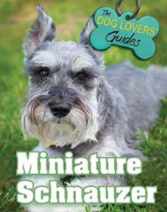 Miniature Schnauzer