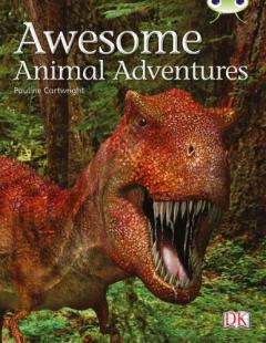 BC NF Lime A/3C Awesome Animal Adventures