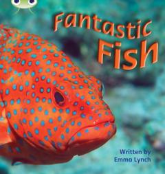 Fantastic Fish