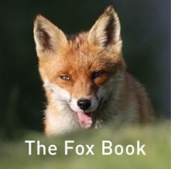 Coperta cărții Fox Book