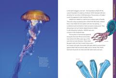 Absolutely Everything!