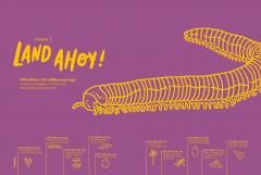 Absolutely Everything!