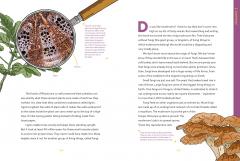 Absolutely Everything!