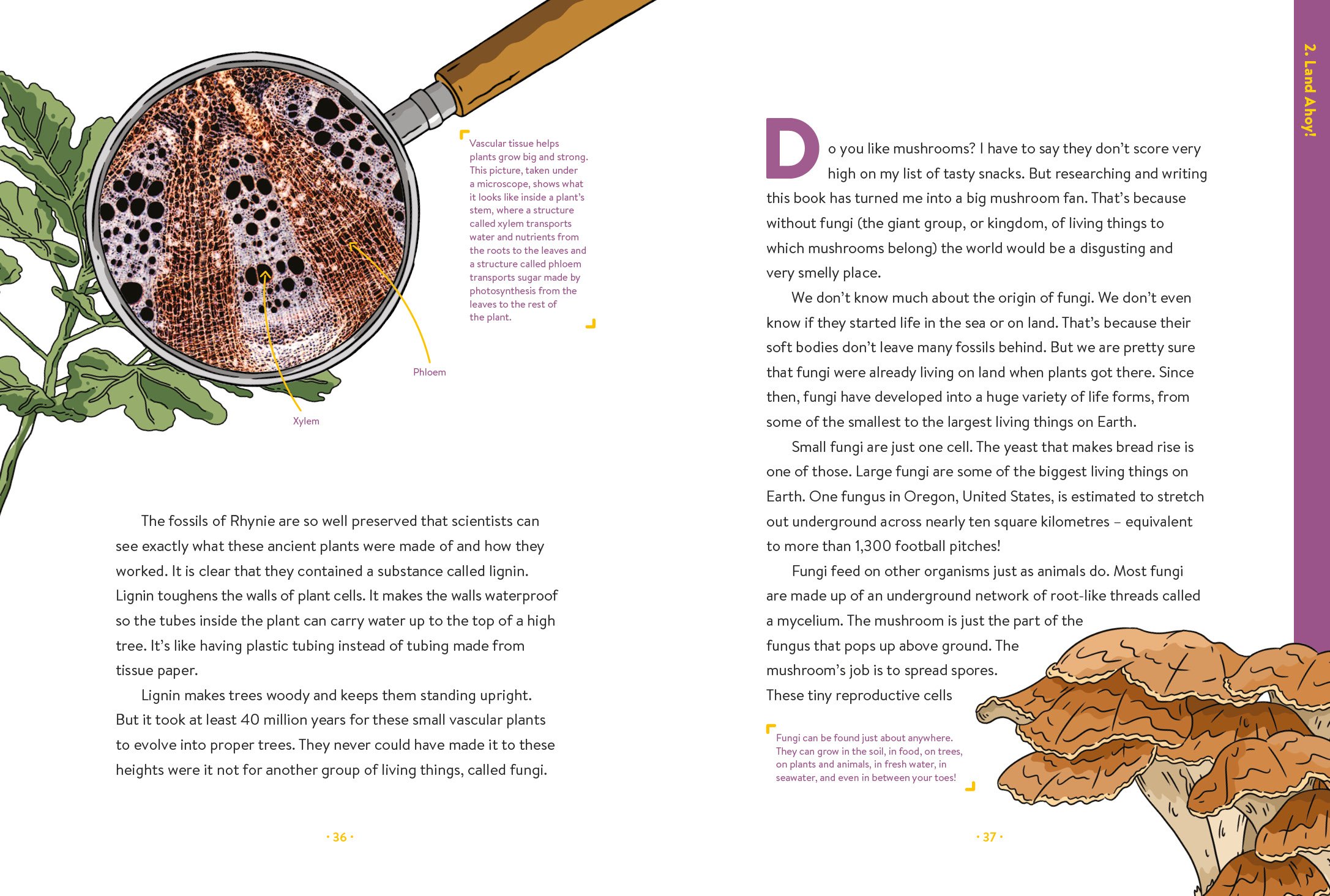 Absolutely Everything! Christopher Lloyd