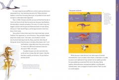 Absolutely Everything!