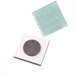 Magnet - You'll Do - mai multe modele