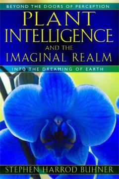 Coperta cărții Plant Intelligence and the Imaginal Realm