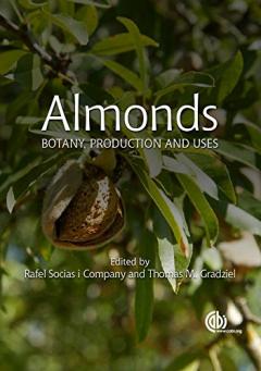 Almond
