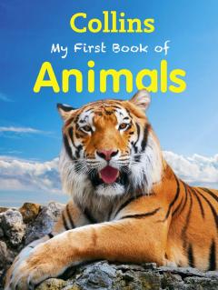 Coperta cărții My First Book of Animals