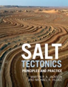 Salt Tectonics