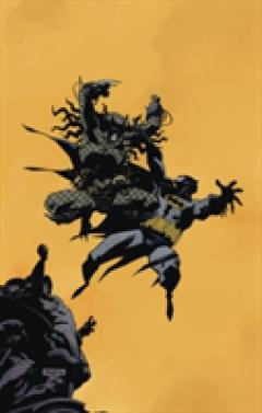 DC Comics Dark Horse Batman vs Predator TP