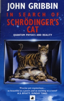 In Search Of Schrodinger&#039;s Cat