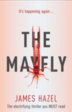 The Mayfly